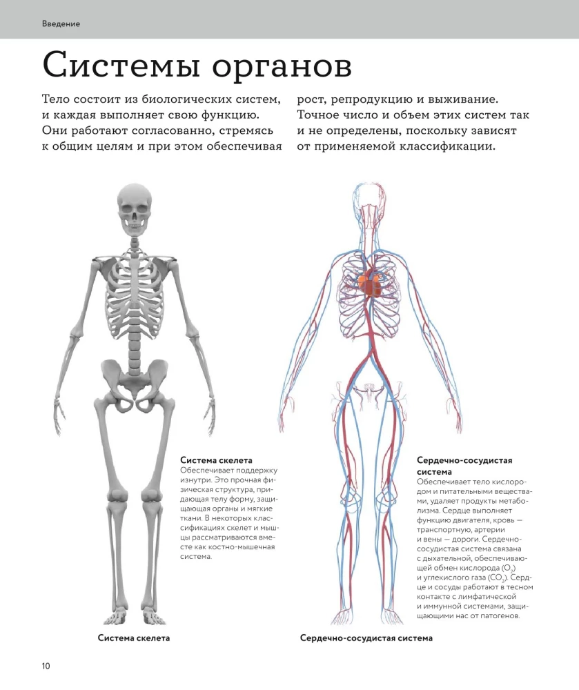 Anatomia człowieka. Wizualny przewodnik po wszystkich systemach organizmu: norma i patologie